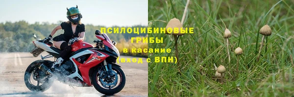 не бодяженный Верея