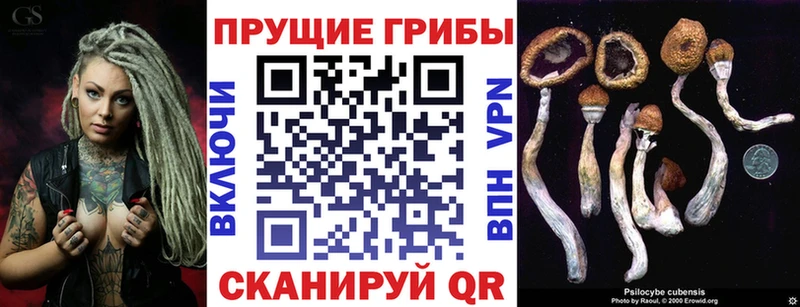 Псилоцибиновые грибы MAGIC MUSHROOMS ОМГ ОМГ tor Дербент